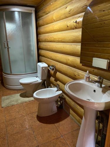 a bathroom with a toilet and a sink at Три підкови in Mykulychyn