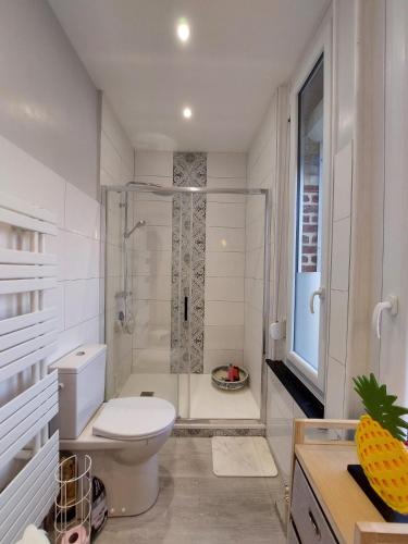 a white bathroom with a toilet and a shower at Cocorico in Boué