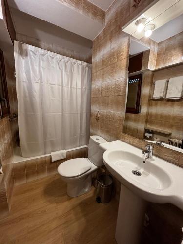 a bathroom with a toilet and a sink at La Noguera de Llavorsí in Llavorsí