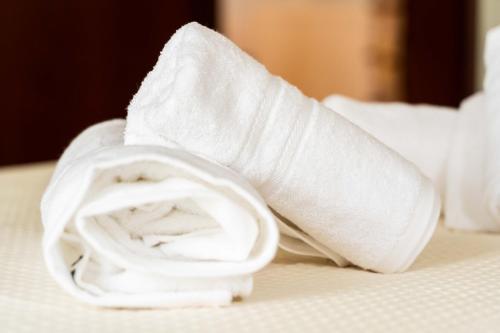 a roll of toilet paper sitting on top of a bed at Anthemia Luxurious Villa in Iraklitsa