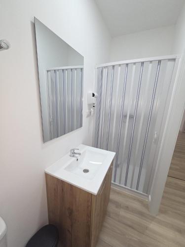 a bathroom with a sink and a mirror and a shower at Hostal NV Palacio Congresos in Málaga