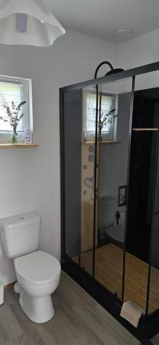a bathroom with a toilet and a glass enclosure at Domki u Sołtysa in Ciechocinek