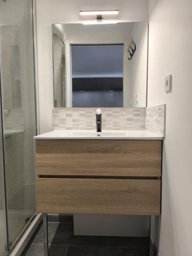 a bathroom with a sink and a mirror at Studio cosy proche bourg et plages tout équipé in Plouhinec