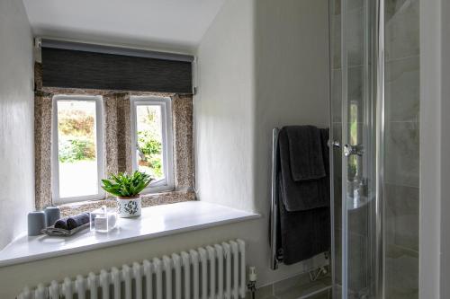 a bathroom with a shower and a window at Reddivallen Farmhouse in Boscastle