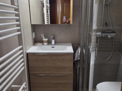 Appartement 3 pièces, 6 personnes à Châtel