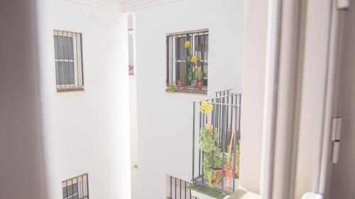 AirePad Sevilla