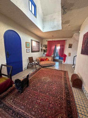 a cat standing in a living room with a blue door at Rhythm House in Essaouira