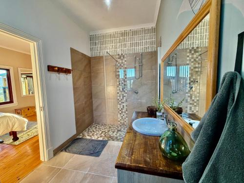 a bathroom with a sink and a shower at Emmie's Cottage in Rietvlei Number 1