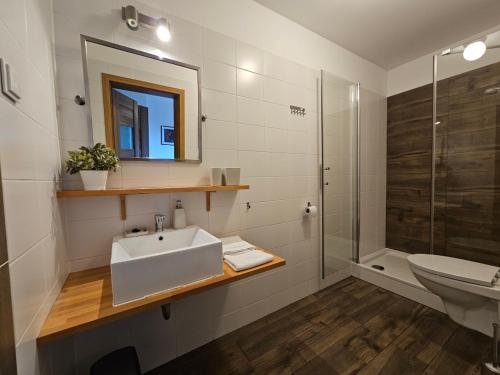 a bathroom with a sink and a toilet and a shower at Zającówka in Polanica-Zdrój