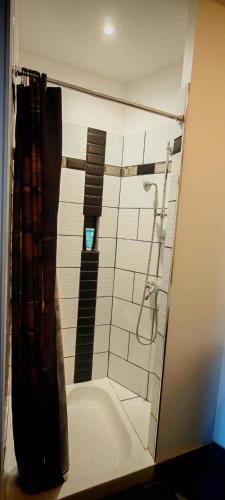 a bathroom with a shower and a tub with a shower curtain at chambre O'nids in Cahors