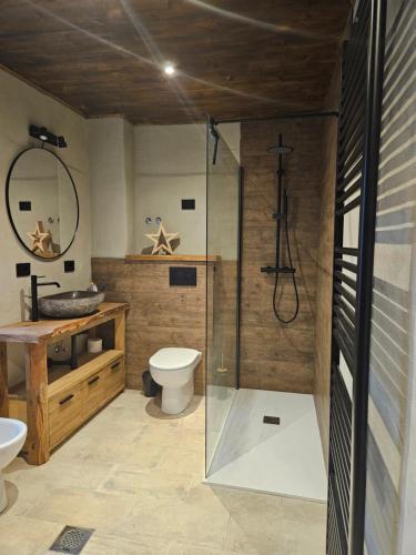 a bathroom with a shower and a toilet and a sink at Alleghe Lodge in Masarè