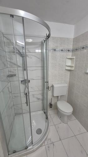 a bathroom with a shower and a toilet at Počitniška hiša Novak in Bohinj