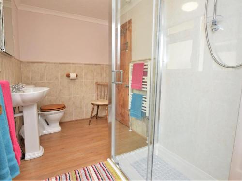a bathroom with a shower and a toilet and a sink at 1 Bed in Wadebridge oc-42756 in Wadebridge