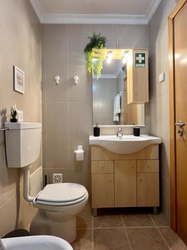 a bathroom with a toilet and a sink and a mirror at Apartamento Montegordo in Monte Gordo