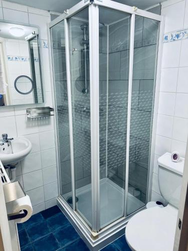 a bathroom with a shower with a toilet and a sink at The Lincoln Arms Pub & Rooms in Dorking