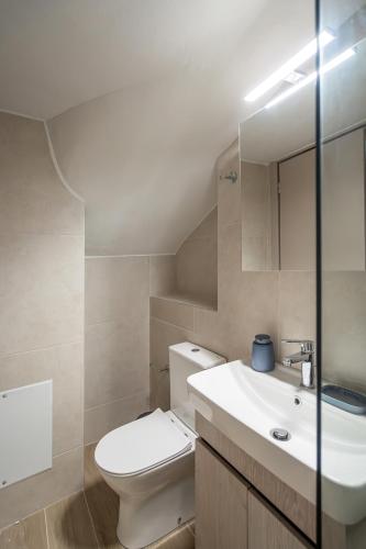 a bathroom with a toilet and a sink and a mirror at Notos Horizon in Ierapetra