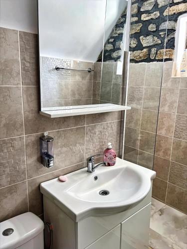 a bathroom with a sink and a toilet and a mirror at Voineasamountainvillas in Voineasa
