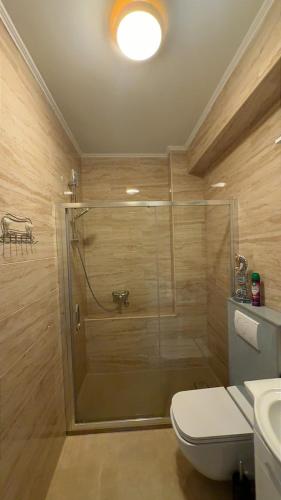 a bathroom with a shower with a toilet and a sink at Bella Costa Lux in Dobra Voda