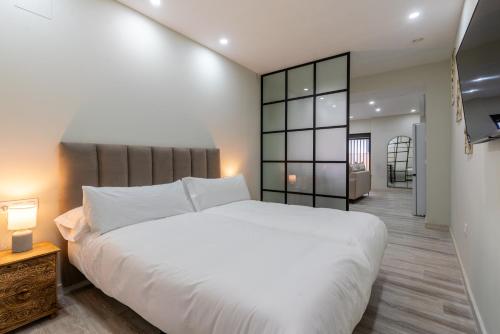 FL2 Loft San Vicente Jacuzzi Sevilla en pareja