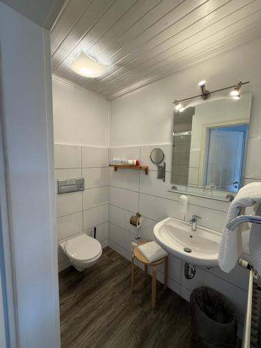 a bathroom with a sink and a toilet and a mirror at Landhotel Franck Garni in Brietlingen
