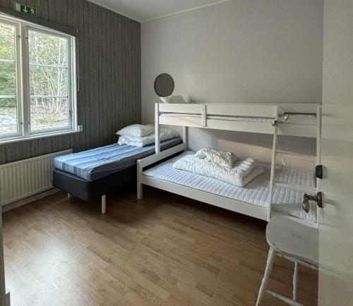 two bunk beds in a room with a window at Haraldsgården Vandrarhem in Blidö