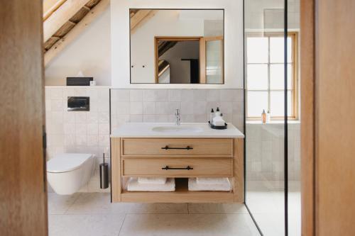 a bathroom with a sink and a toilet and a mirror at Rickety Bridge Estate in Franschhoek