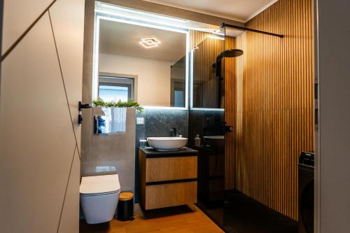 a bathroom with a sink and a toilet at Elite Luxury Crib in Cluj-Napoca