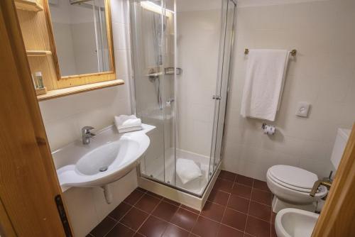a bathroom with a shower and a sink and a toilet at APPARTAMENTI LATEMAR con PISCINA e SAUNA in Cavalese