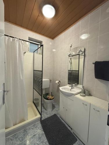 a bathroom with a shower and a toilet and a sink at Ferienwohnung Maks und Kris in Sankt Andrä bei Frauenkirchen