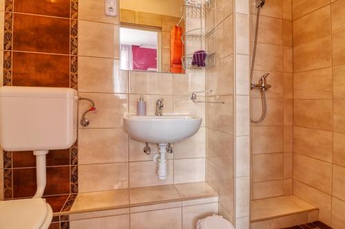 a bathroom with a sink and a toilet and a shower at Vincze Villa Vendégház in Bükkszék