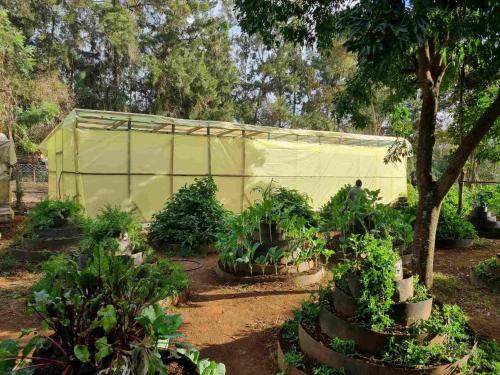 a greenhouse in a garden with plants at Karen Little Paradise, ECO Garden Hotel & Farm in Nairobi