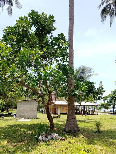 two palm trees in a field with a house in the background at Amera Beach in Karimunjawa