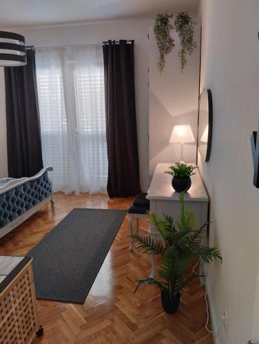 a living room with a table and a plant at Keti House Rooms in Vela Luka