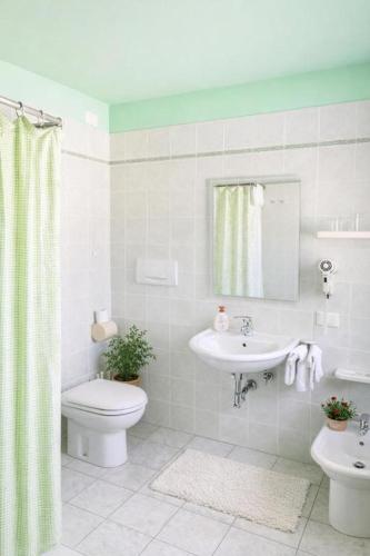 a bathroom with a toilet and a sink at Affittacamere Al Fiume in Flambruzzo