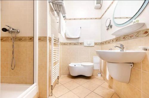 a bathroom with a sink and a toilet and a shower at Teplice Plaza in Teplice