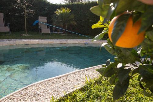a swimming pool with an orange in a yard at Guest H4U Villa Garden & Pool in Póvoa de Varzim