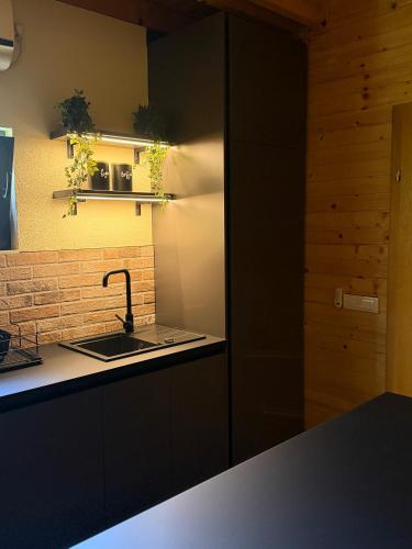 a kitchen with a sink and a brick wall at Vikendica Sofijina Luka in Slatina Varoš