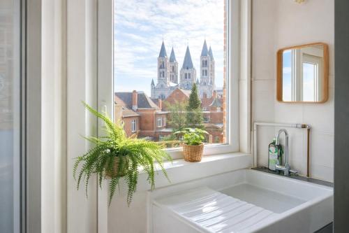 a window with two potted plants in a bathroom at Appartements Entiers - Centre de Tournai in Tournai