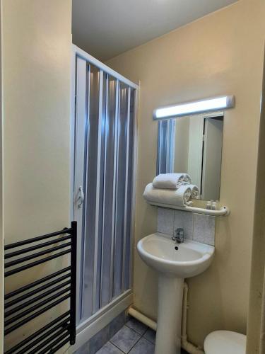 a bathroom with a sink and a toilet and a mirror at Residence Erasmus in Malakoff