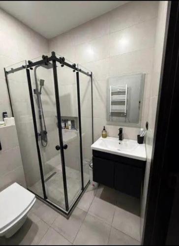 a bathroom with a shower and a toilet and a sink at Cozy Corner in Tbilisi City