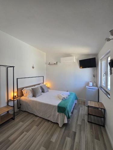 a bedroom with a bed and a flat screen tv at Sol da Praia in Odeceixe