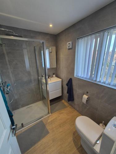 a bathroom with a shower and a toilet and a sink at Rome avenue in Abingdon