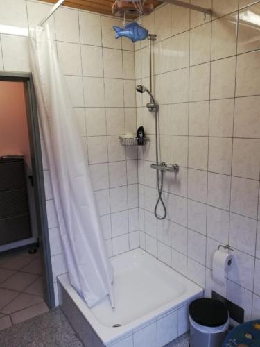 a shower with a shower curtain in a bathroom at Auerandstudio in Nienhagen