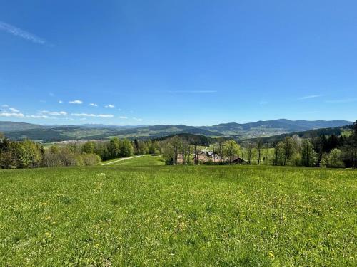 a field of green grass with a house in the distance at Waldlerhof in Patersdorf
