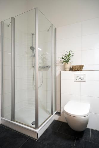 a bathroom with a shower and a toilet at Zeitapartments Am Fischmarkt in Stade