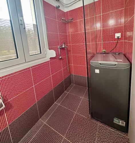 a red tiled bathroom with a toilet and a window at ARTE MARE d'Irene in Spartos