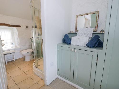 a bathroom with a shower and a toilet at Happy Landing in Harlech