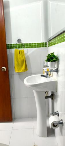 a white bathroom with a sink and a plant at Tu Estancia en Cali - Valle del Lili in Cali
