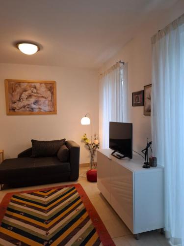 a living room with a couch and a television at Appartement am Goldsteinpark in Bad Nauheim