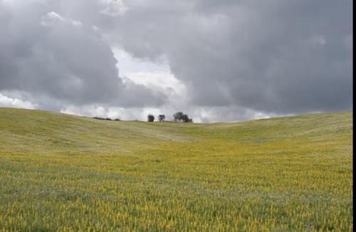 Monte das Doceitas
